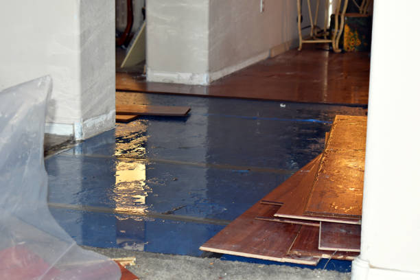 Professional Burst Pipe Cleanup technician working in Eureka, IL